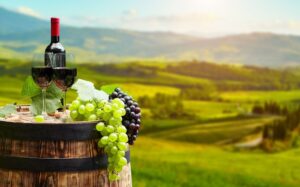 Wineries In The City Of Orlando